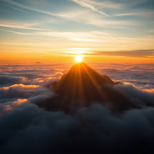 Rise With the Sun